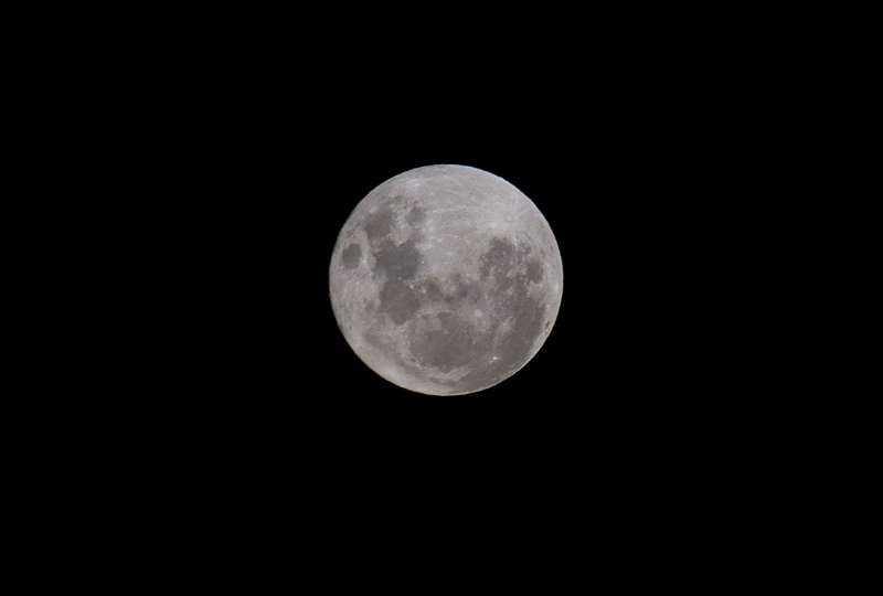 autumn moon.jpg